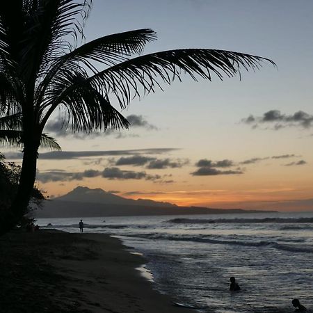 La Villa Caribeenne De La Plage Des Surfeurs Ла Трините Екстериор снимка