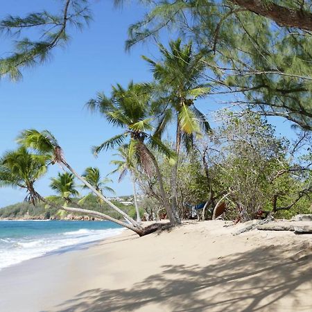 La Villa Caribeenne De La Plage Des Surfeurs Ла Трините Екстериор снимка
