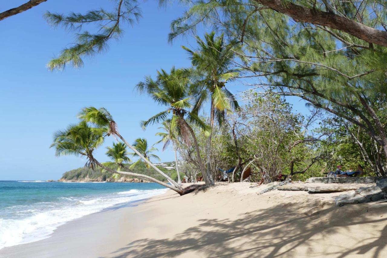 La Villa Caribeenne De La Plage Des Surfeurs Ла Трините Екстериор снимка